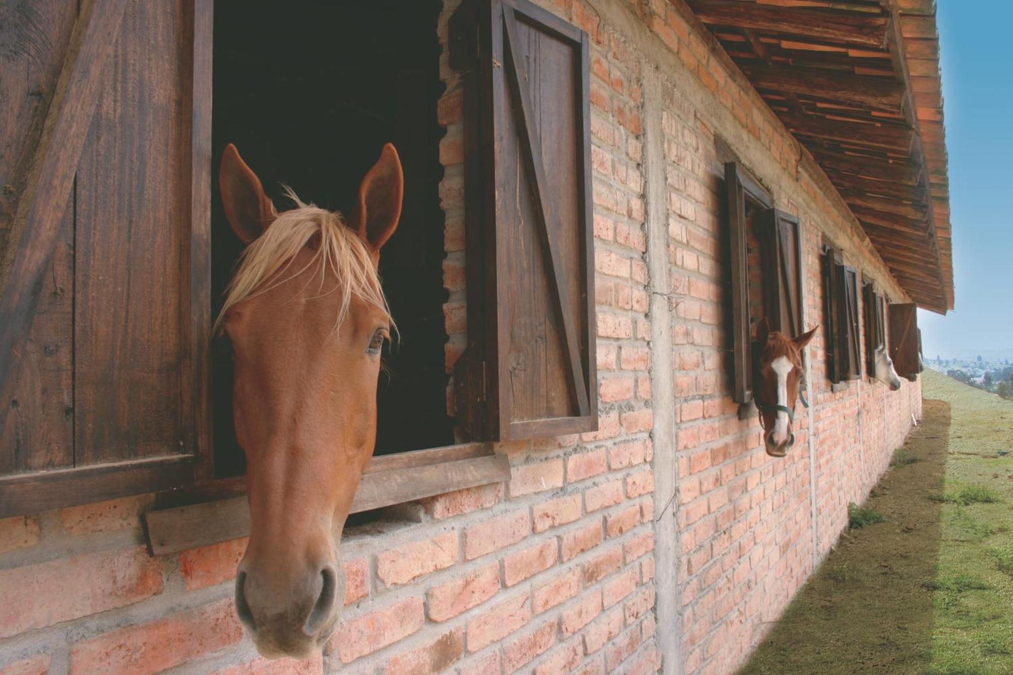 Hosteria Caballo Campana Куэнка Экстерьер фото